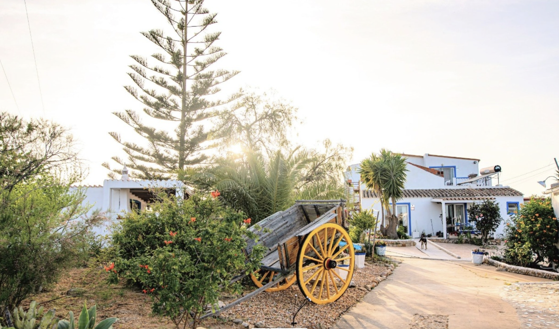 Work Retreat with Mountain & Sea Views in Portugal - 4